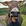 Small_donk