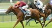 Popular_horse_racing_feature