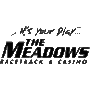 Large_meadows_itsyourplay_rev-w_out_reasonably_small