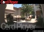 Small_hsl_negreanu