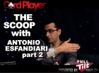 Medium_esfandiari2
